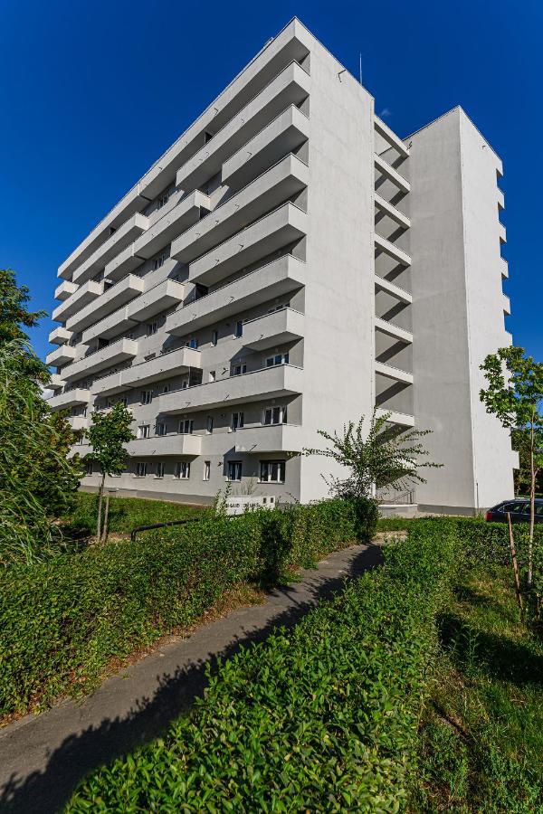 Koa - Pandora Apartments Braşov Dış mekan fotoğraf